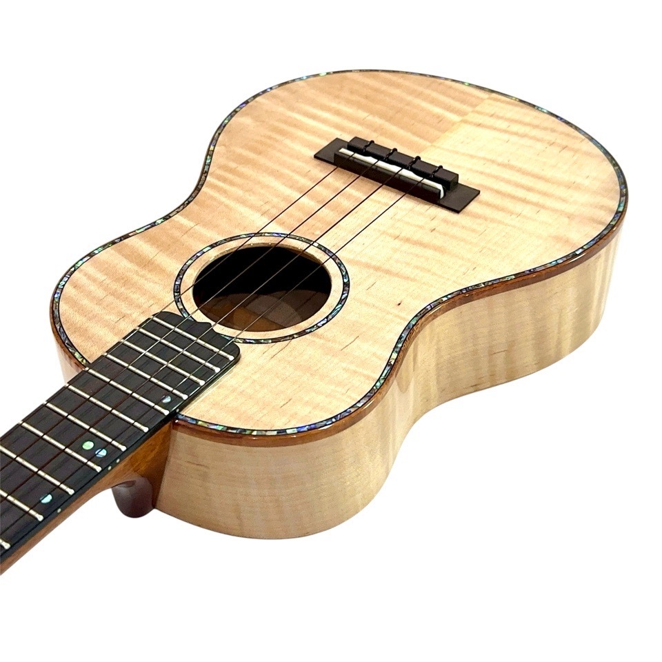 ��KIWAYA��KPT-5MP �ƥʡ�������