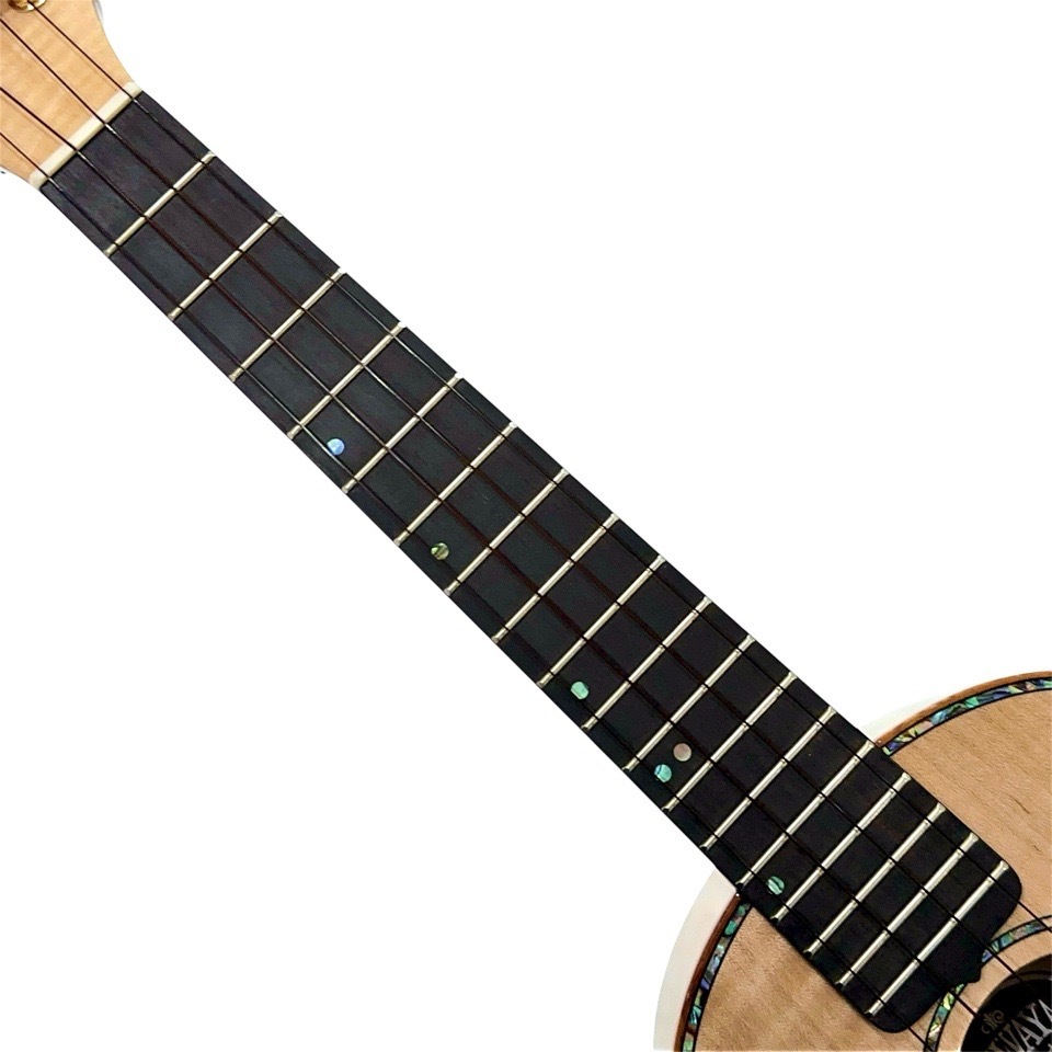 ��KIWAYA��KPT-5MP �ƥʡ�������