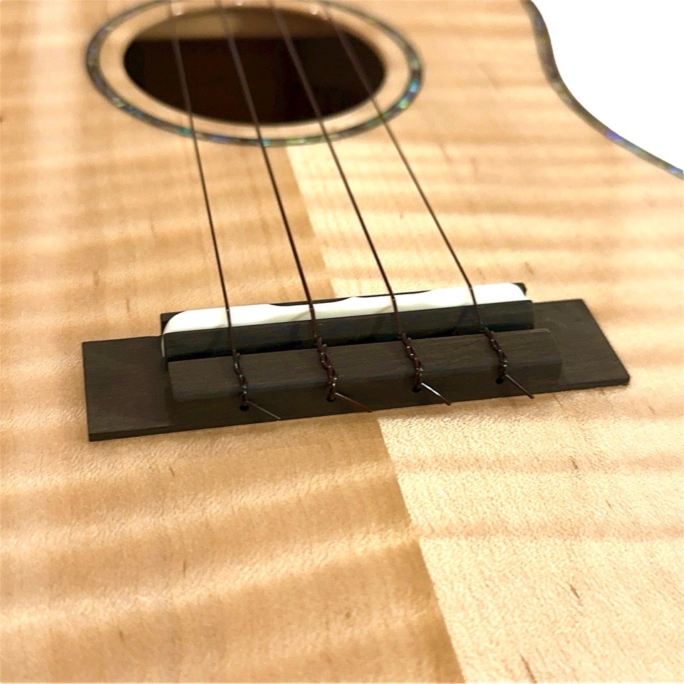 ��KIWAYA��KPT-5MP �ƥʡ�������