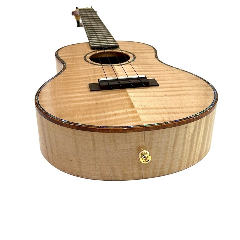 ��KIWAYA��KPT-5MP �ƥʡ�������