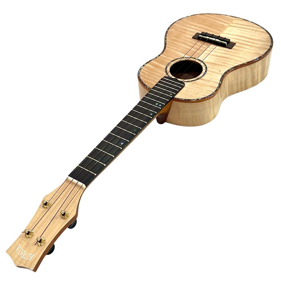 ��KIWAYA��KPT-5MP �ƥʡ�������