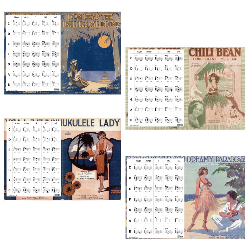 ��KIWAYA��KCU-1 (10�����å�) ���󥵡��ȥ�����