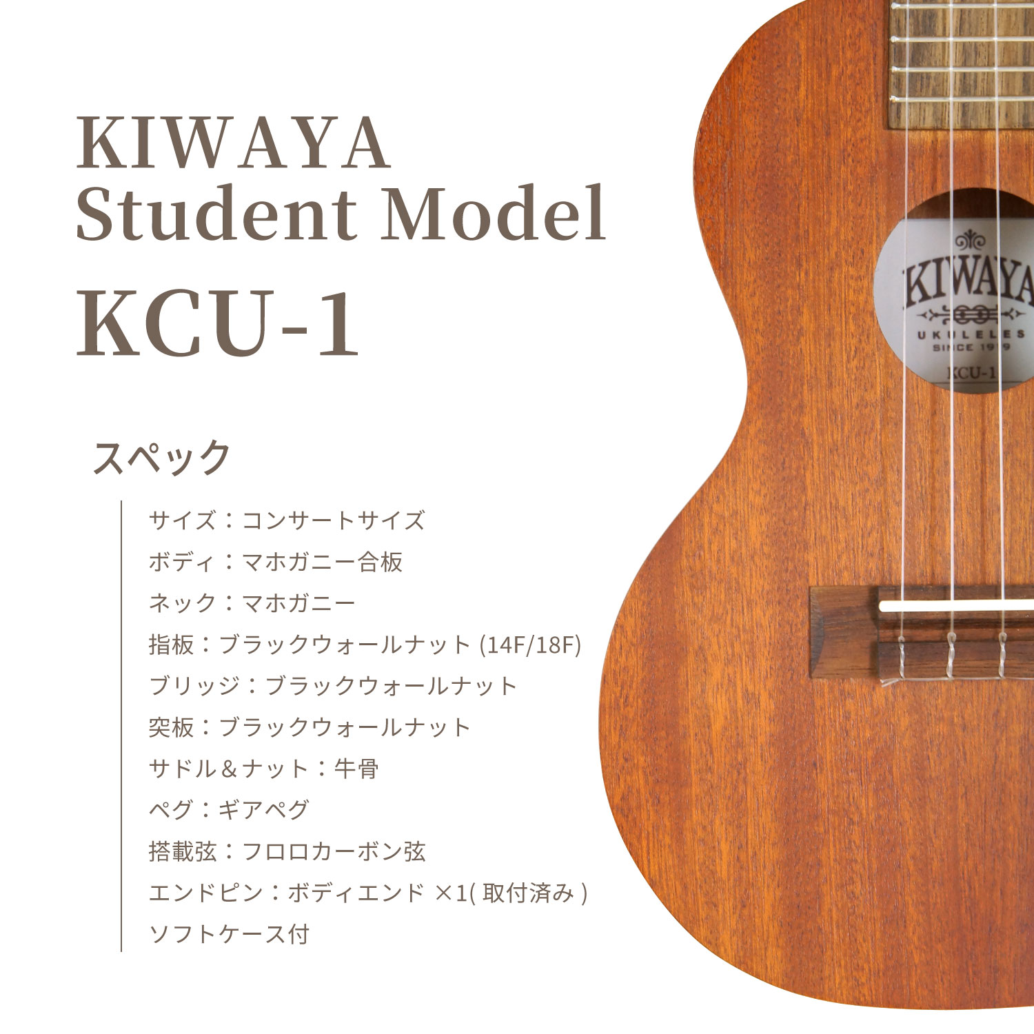 ��KIWAYA��KCU-1 (10�����å�) ���󥵡��ȥ�����