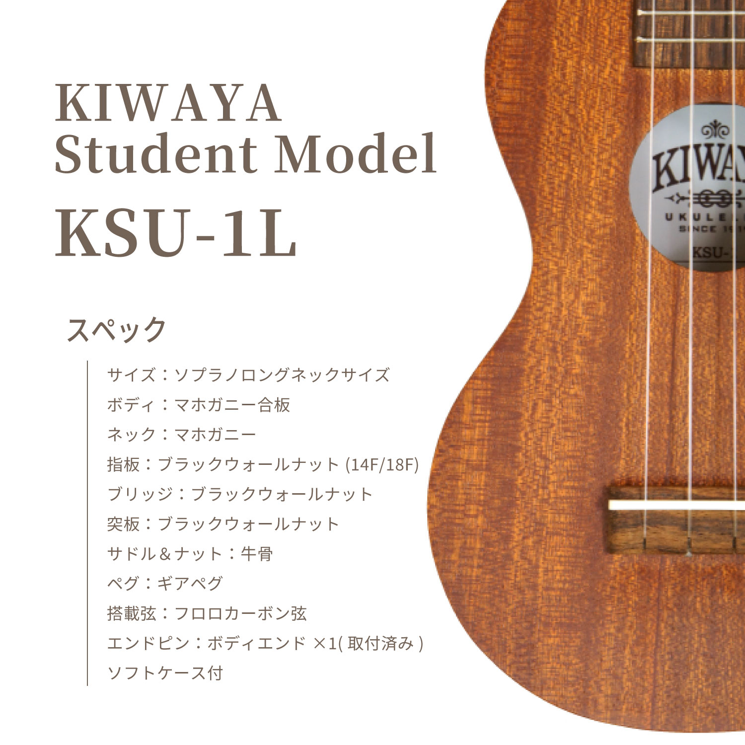 ��KIWAYA��KSU-1L (10�����å�) ���ץ�Υ��󥰥ͥå�