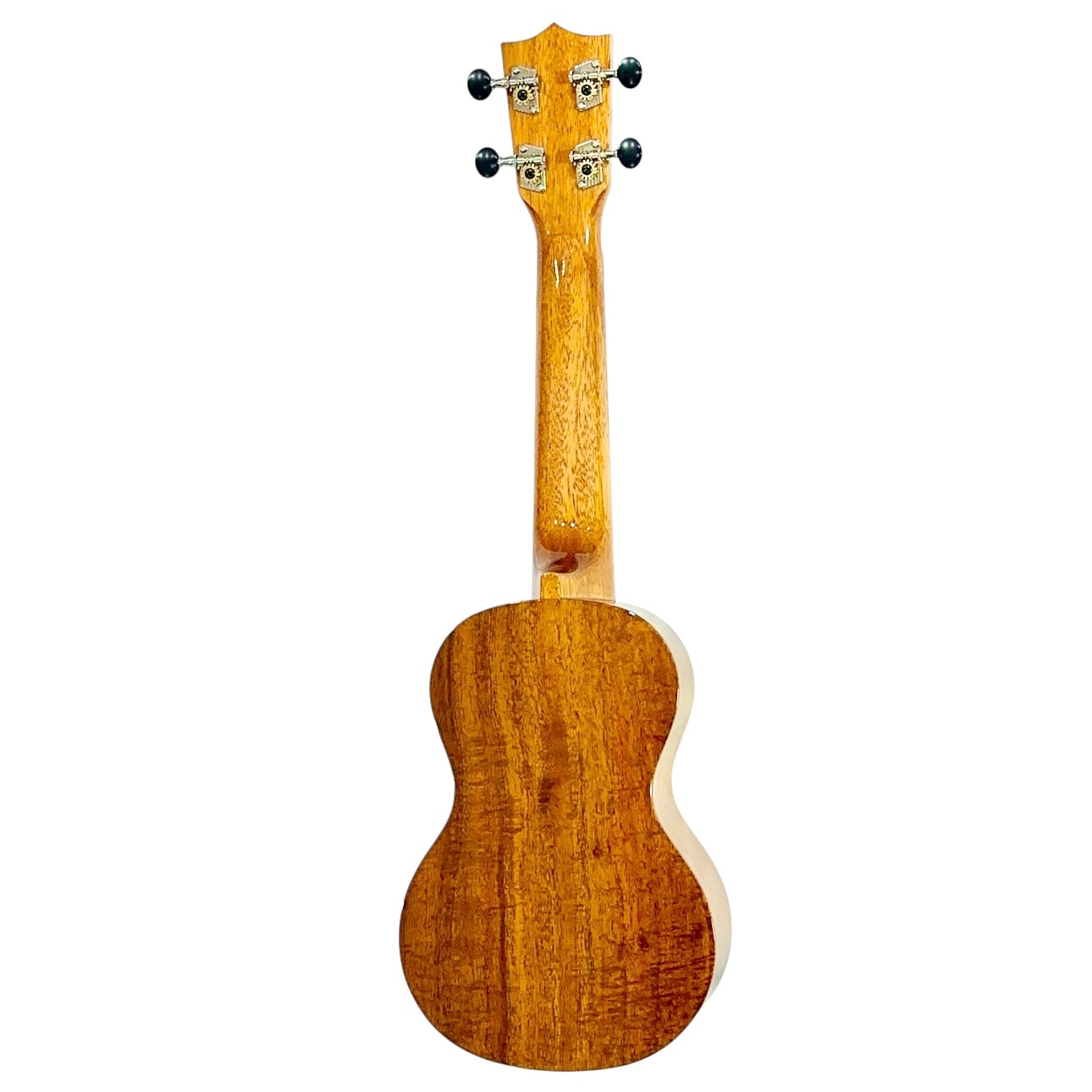 ��Famous��FS-8LN ���ץ�Υ�����