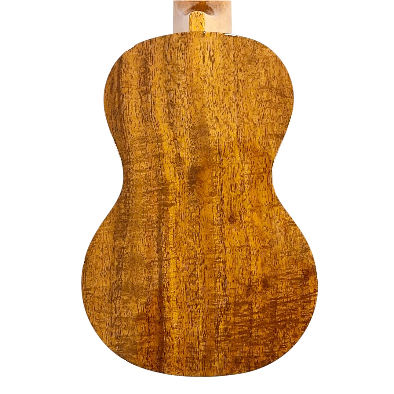 ��Famous��FS-8LN ���ץ�Υ�����