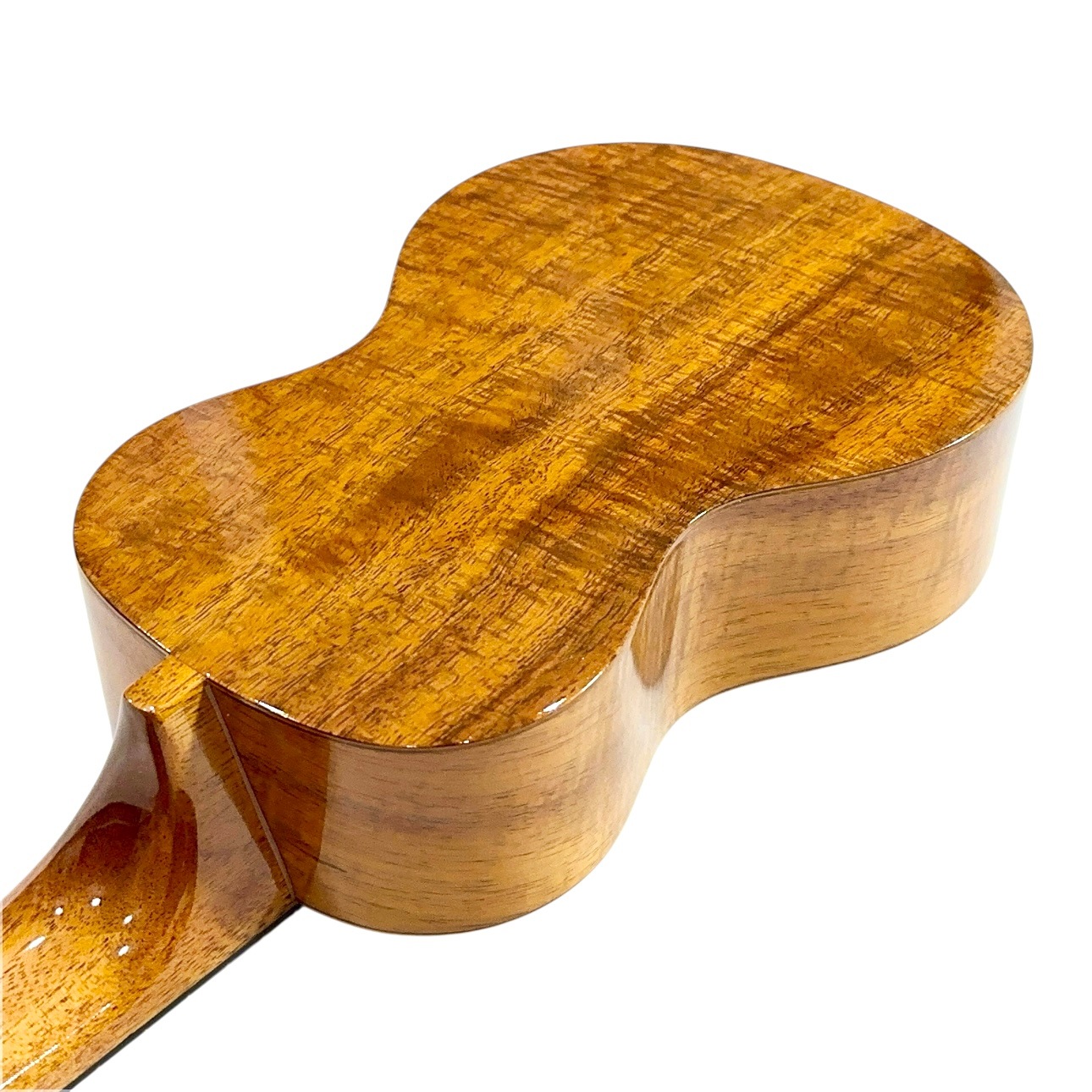 ��Famous��FS-8LN ���ץ�Υ�����