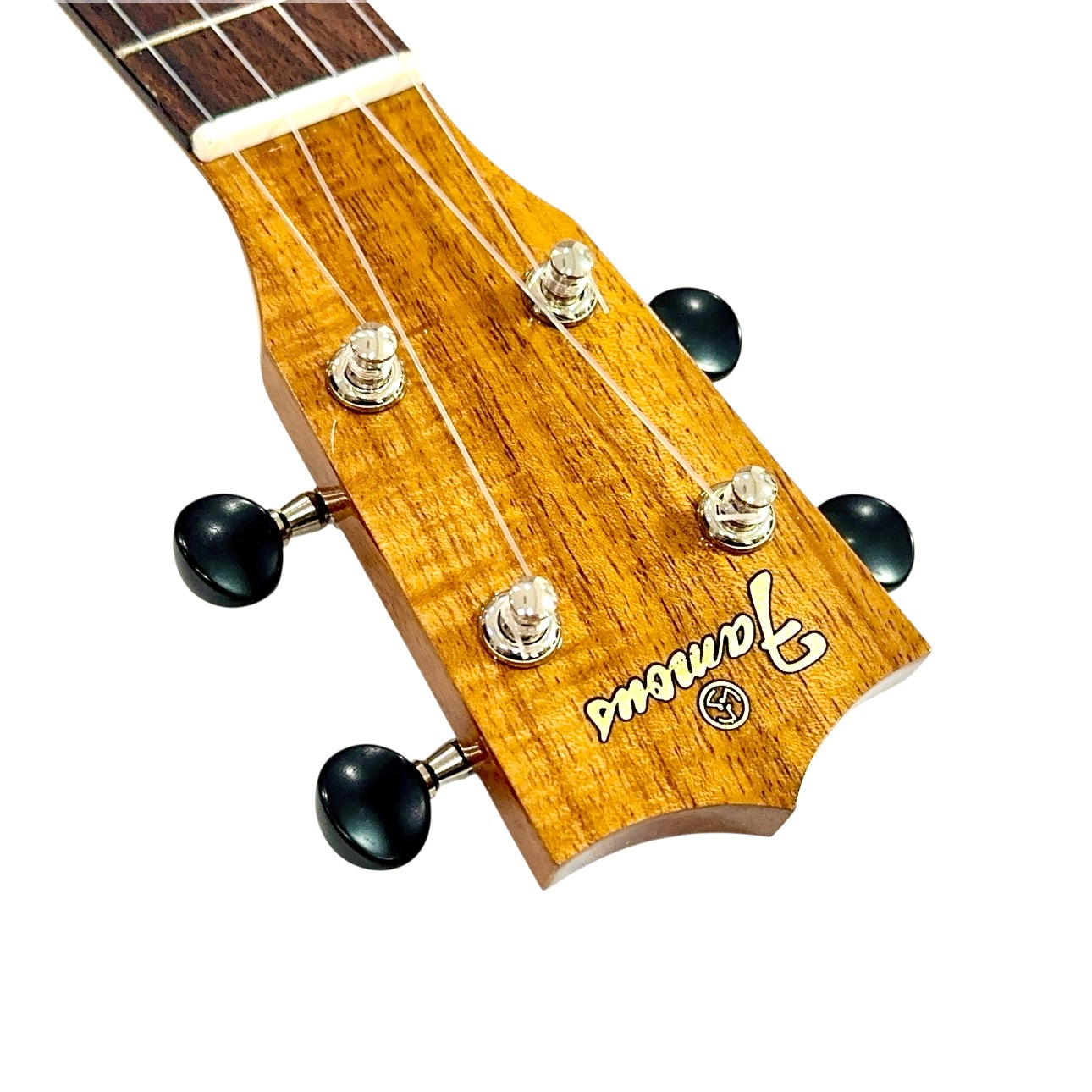 ��Famous��FS-8LN ���ץ�Υ�����