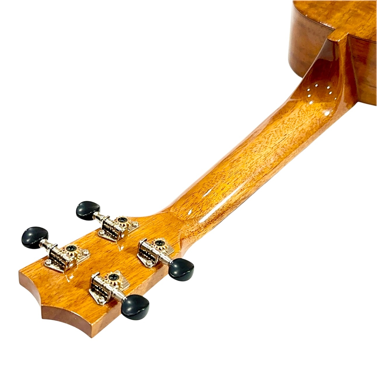 ��Famous��FS-8LN ���ץ�Υ�����