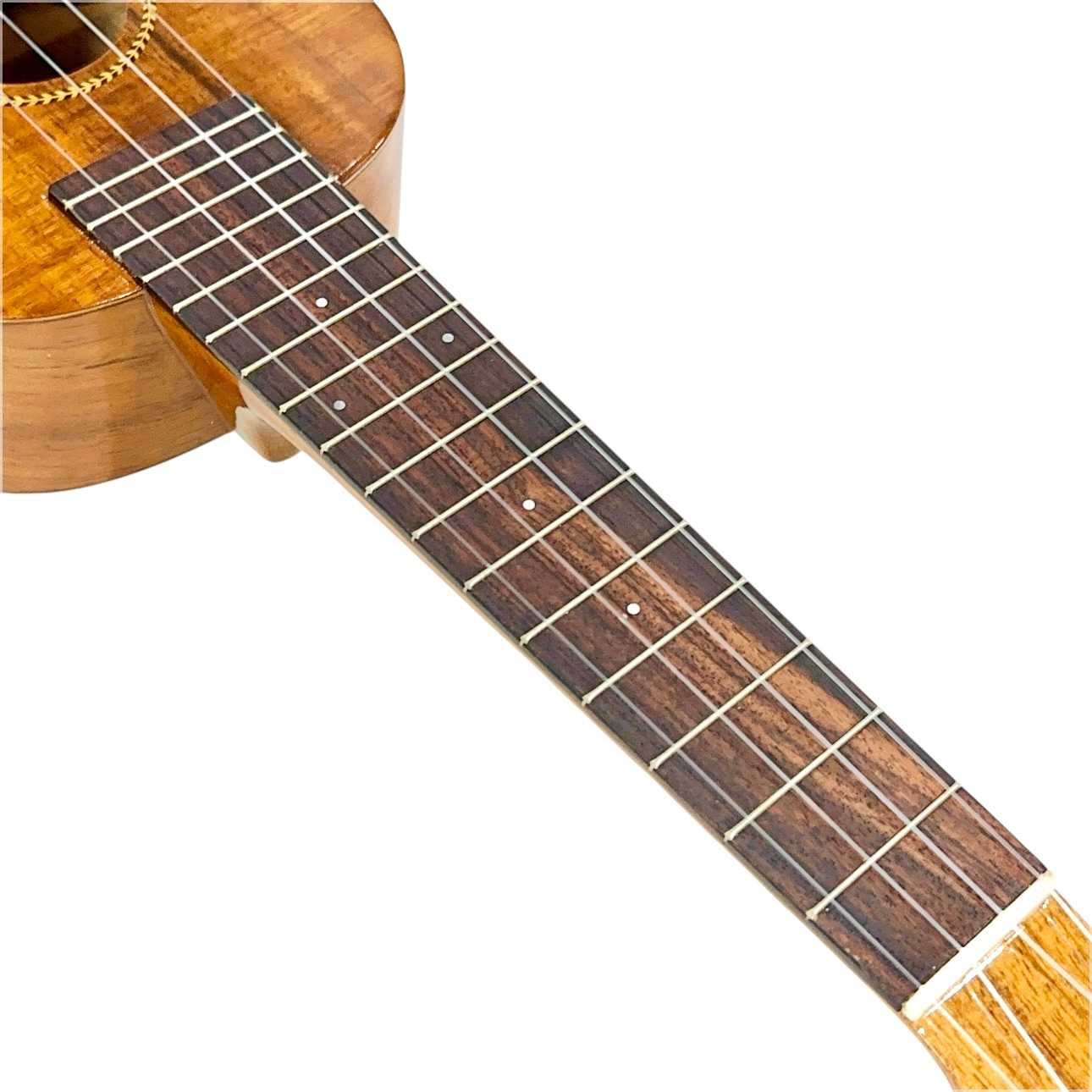 ��Famous��FS-8LN ���ץ�Υ�����