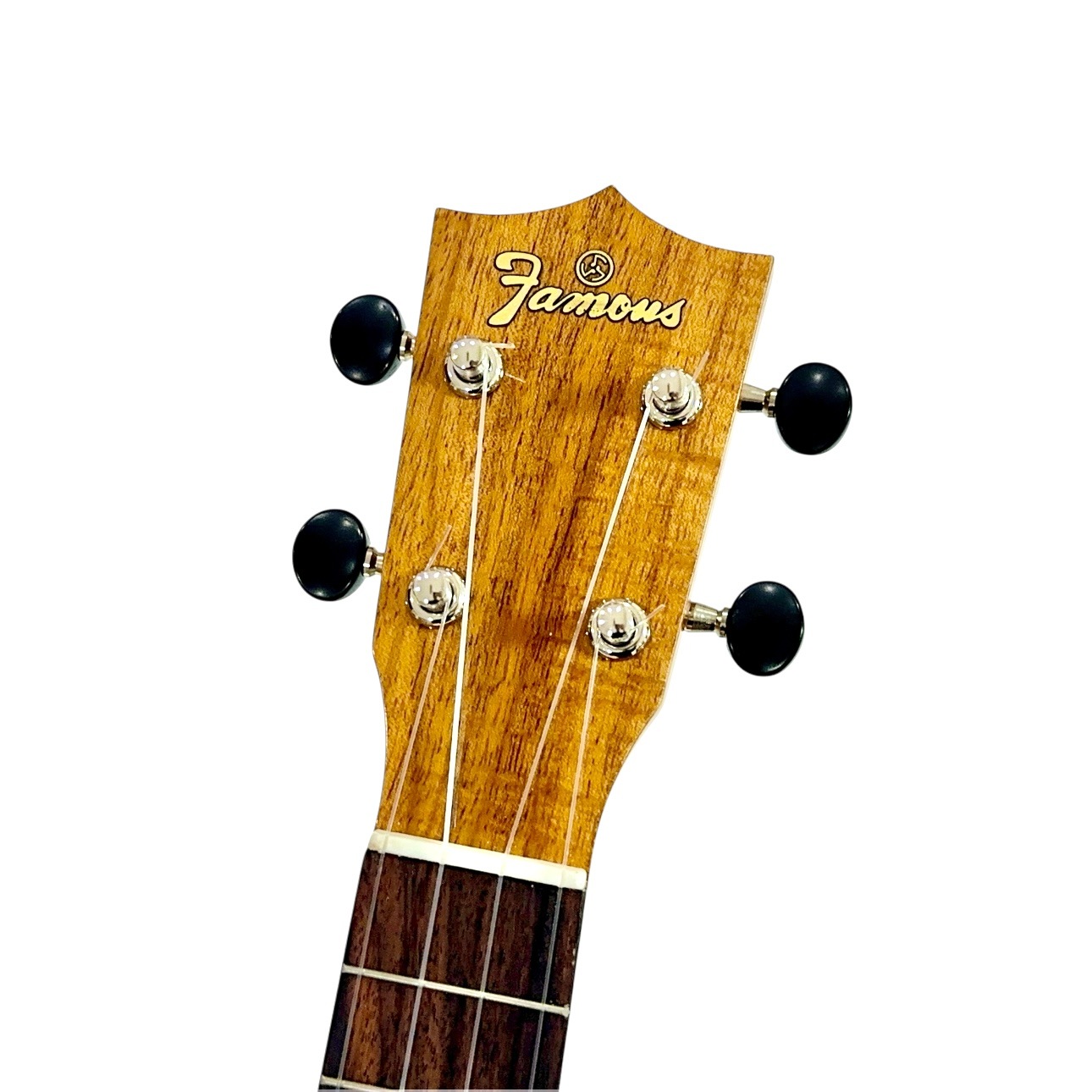 ��Famous��FS-8LN ���ץ�Υ�����