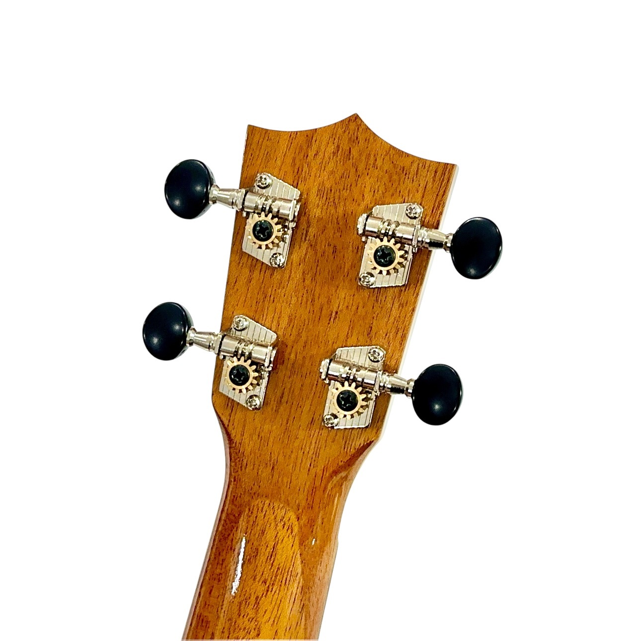 ��Famous��FS-8LN ���ץ�Υ�����