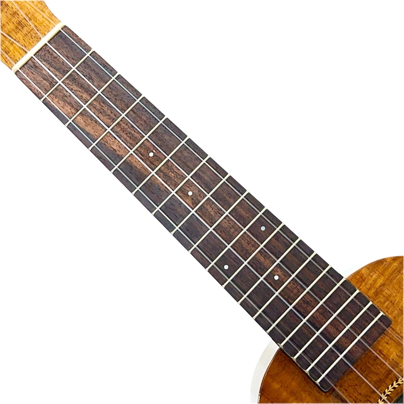 ��Famous��FS-8LN ���ץ�Υ�����