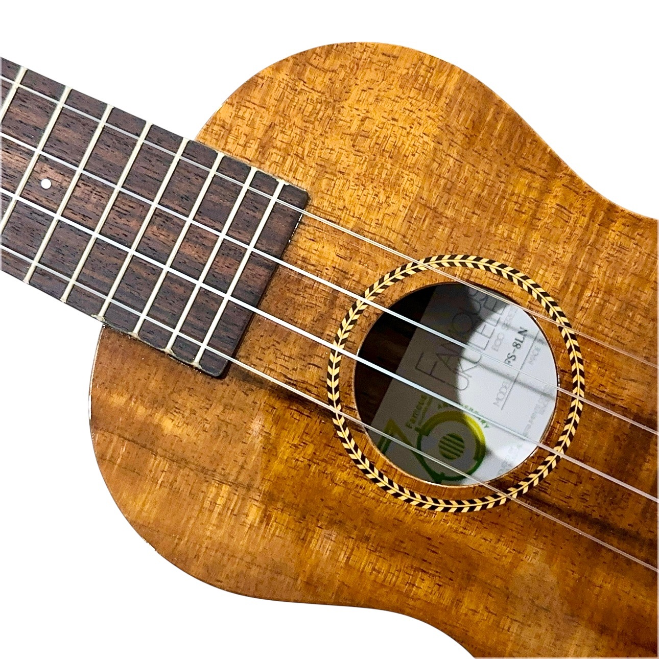 ��Famous��FS-8LN ���ץ�Υ�����