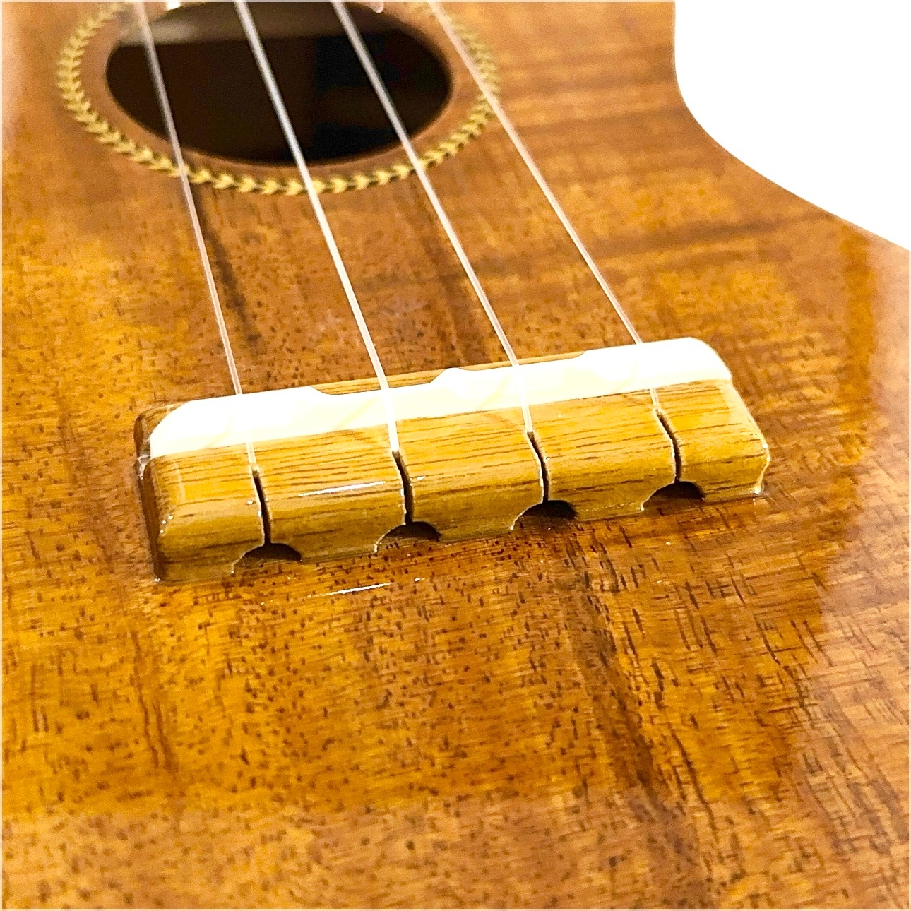 ��Famous��FS-8LN ���ץ�Υ�����