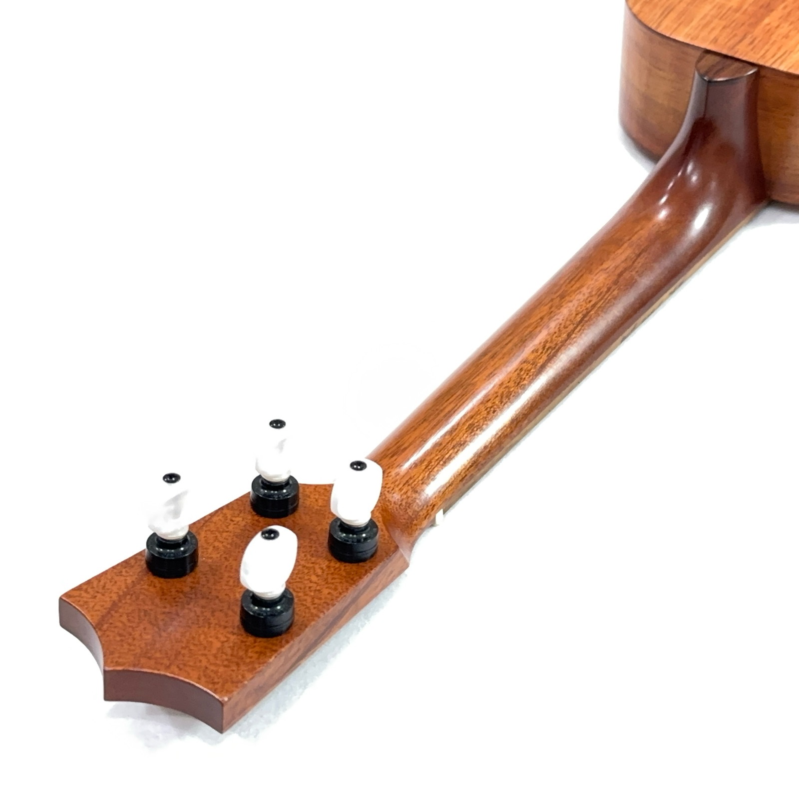 ��KAMAKA��HF-1L ���ץ�Υ��󥰥ͥå�������