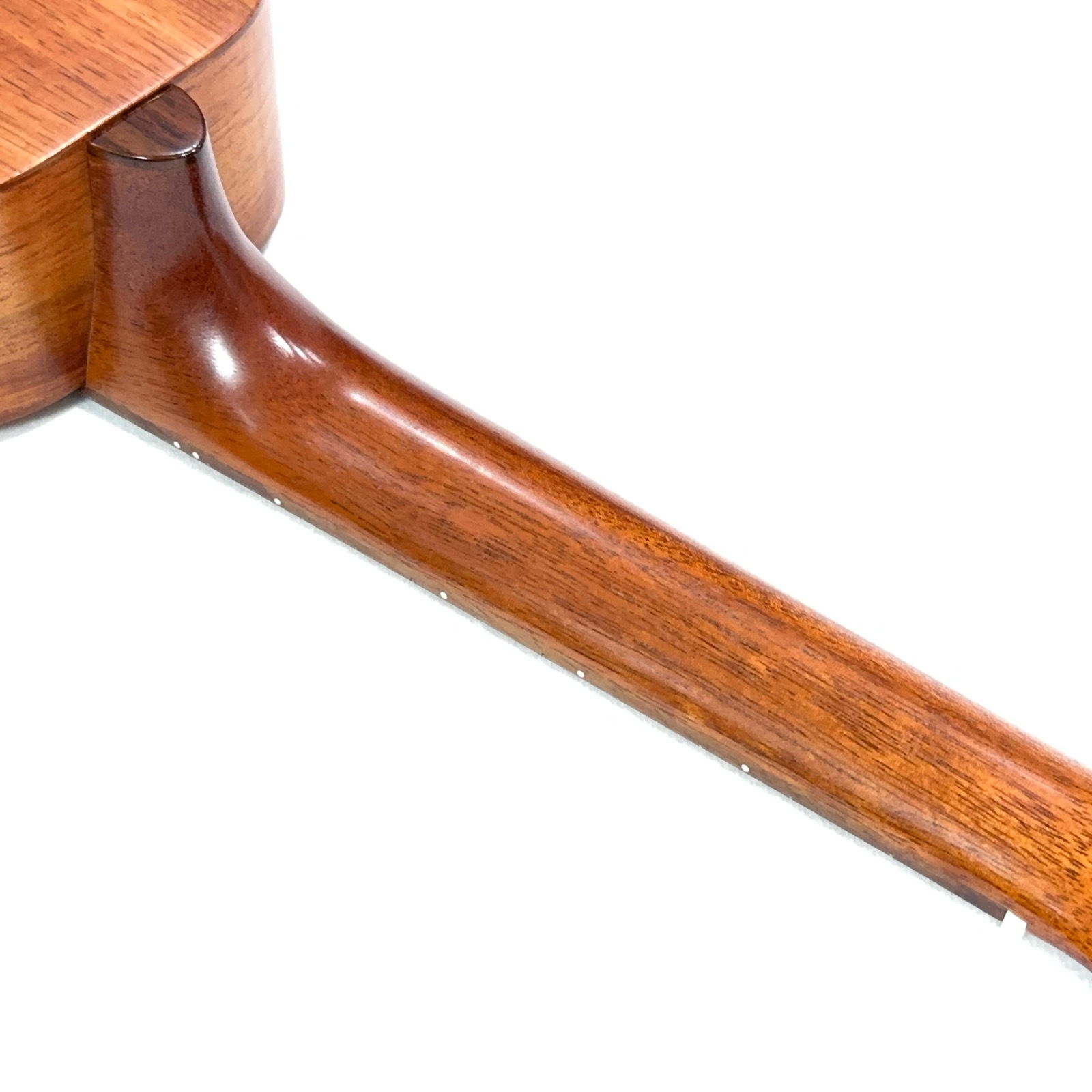 ��KAMAKA��HF-1L ���ץ�Υ��󥰥ͥå�������