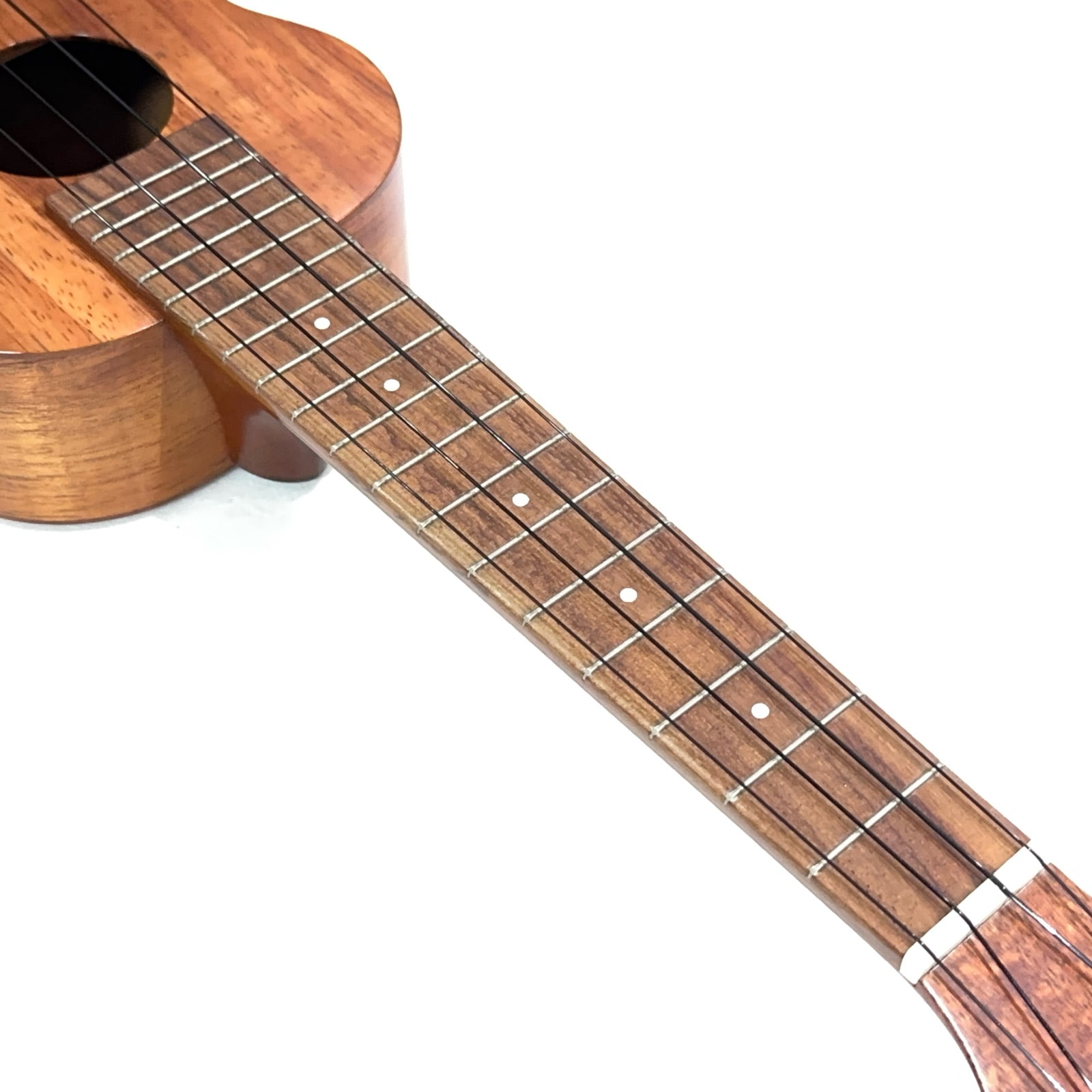 ��KAMAKA��HF-1L ���ץ�Υ��󥰥ͥå�������