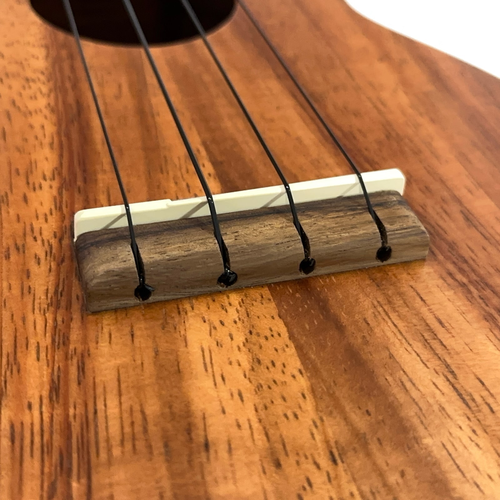 ��KAMAKA��HF-1L ���ץ�Υ��󥰥ͥå�������