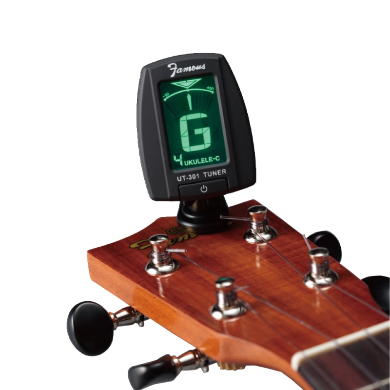 ��Famous��FC-5G (10�����å�) ���󥵡��ȥ�����