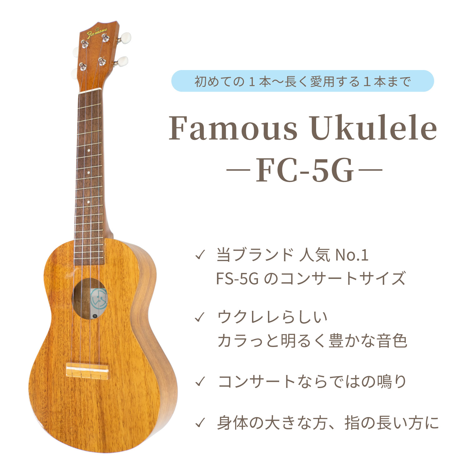 ��Famous��FC-5G (10�����å�) ���󥵡��ȥ�����