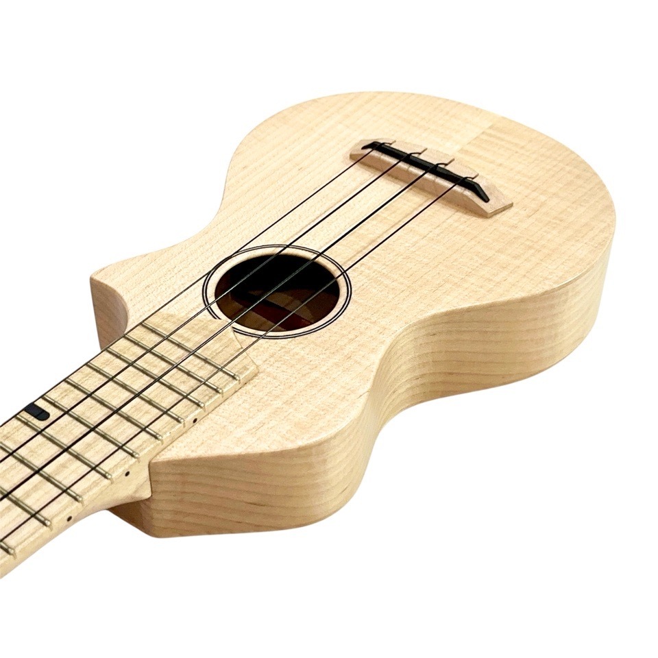 Craft MusicaMaple Junta Cutaway #559 ץΥ