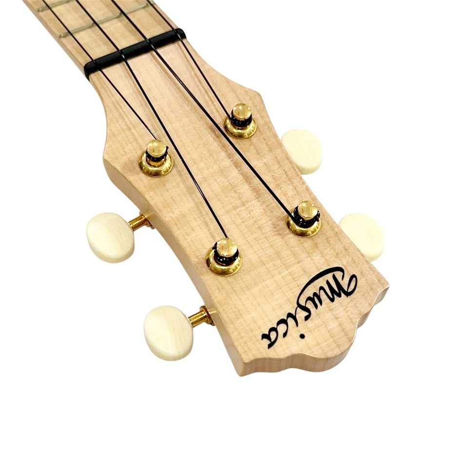 Craft MusicaMaple Junta Cutaway #559 ץΥ