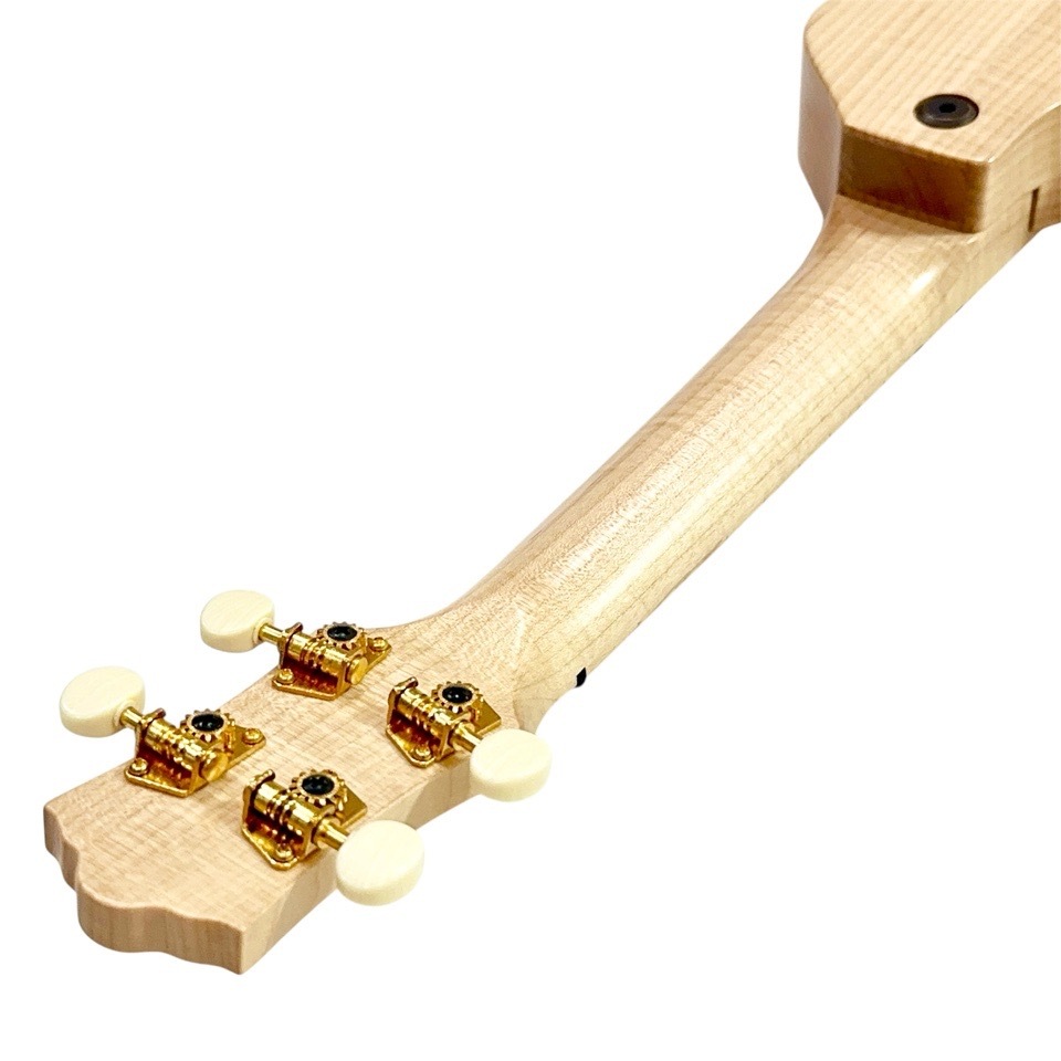 Craft MusicaMaple Junta Cutaway #559 ץΥ