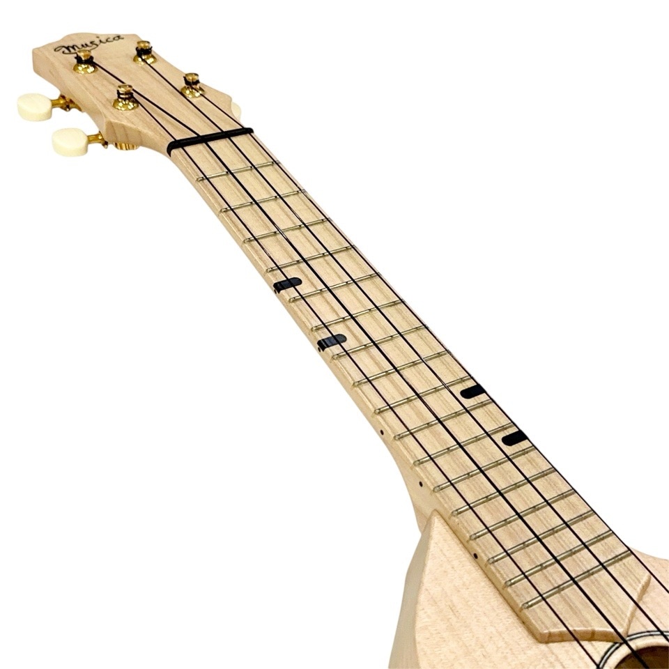 Craft MusicaMaple Junta Cutaway #559 ץΥ