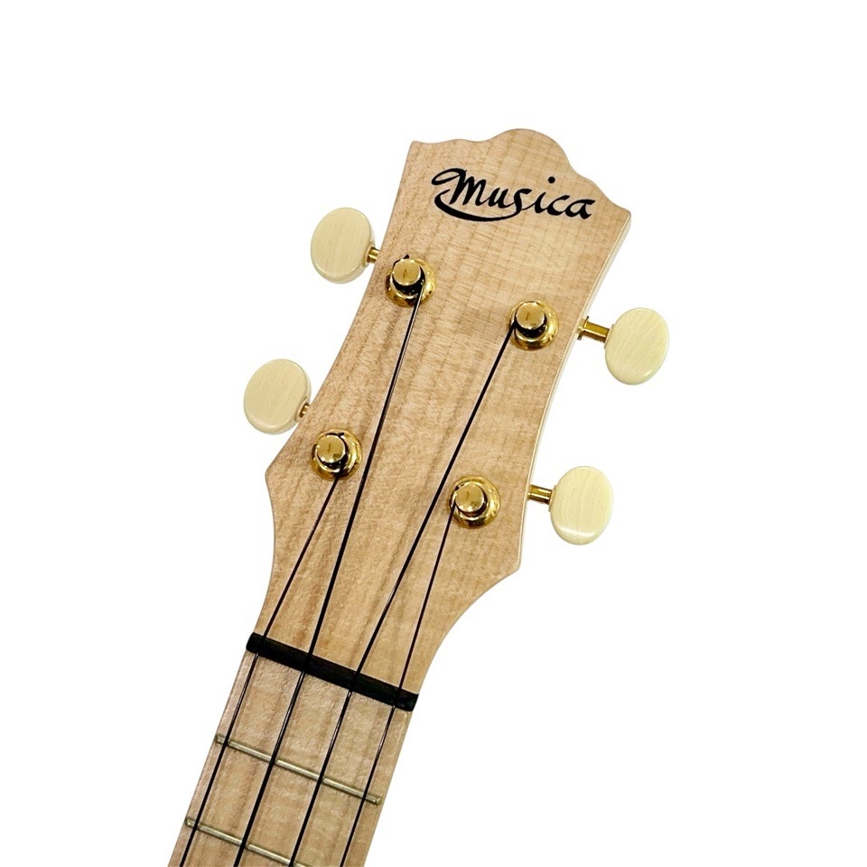 Craft MusicaMaple Junta Cutaway #559 ץΥ