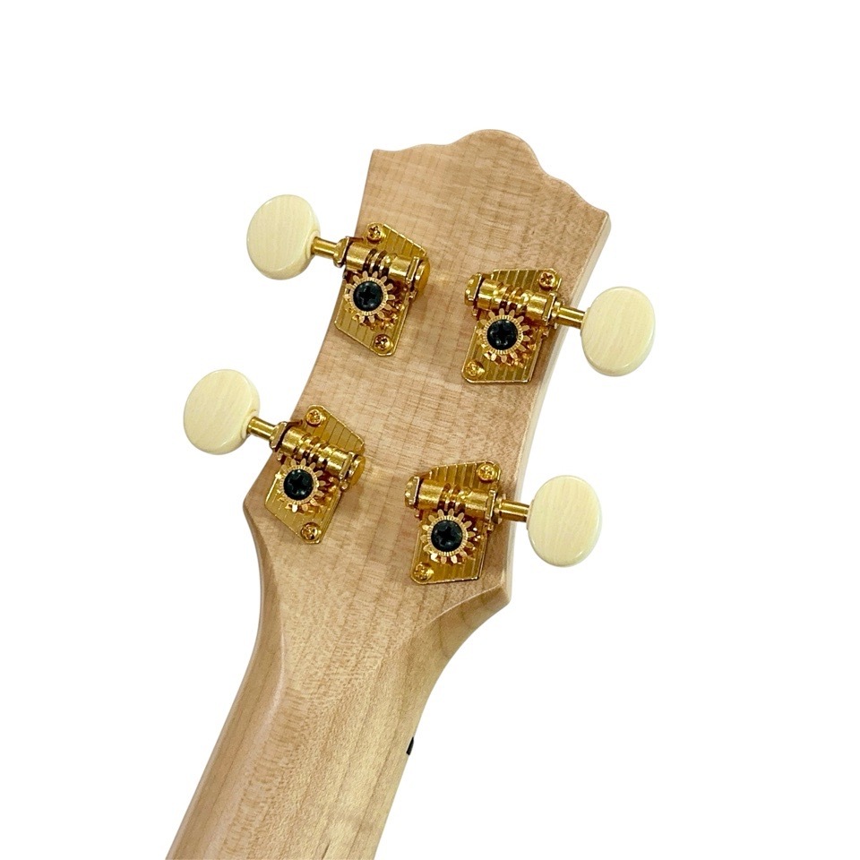 Craft MusicaMaple Junta Cutaway #559 ץΥ