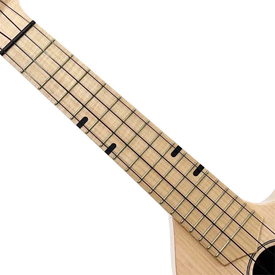 Craft MusicaMaple Junta Cutaway #559 ץΥ