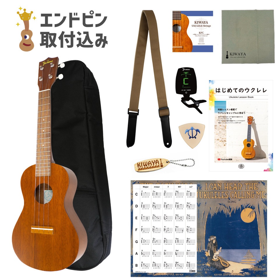 ��Famous��FC-1G (10�����å�) ���󥵡��ȥ�����