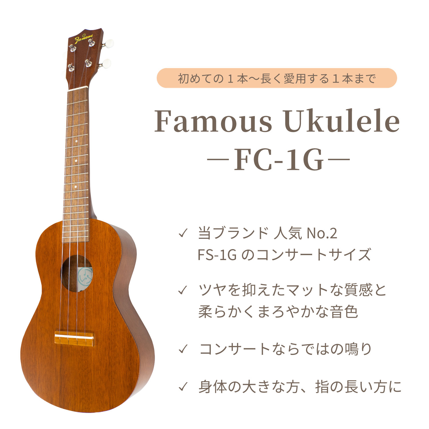 ��Famous��FC-1G (10�����å�) ���󥵡��ȥ�����