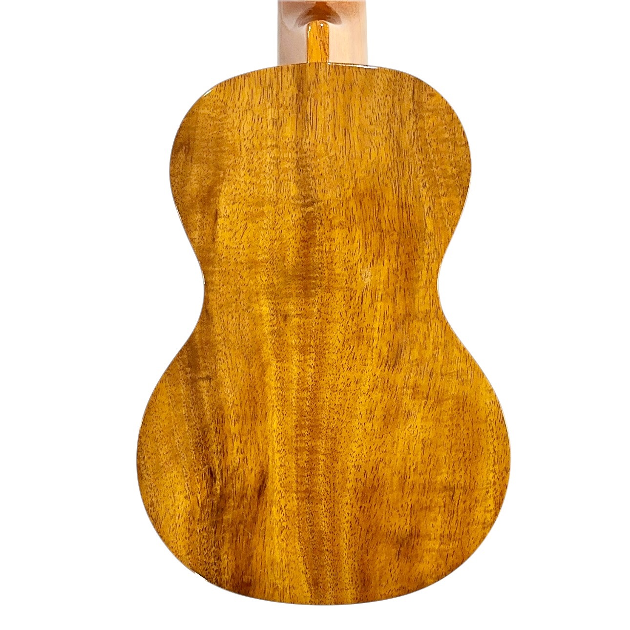 ��Famous��FLS-2G ���ץ�Υ��󥰥ͥå�