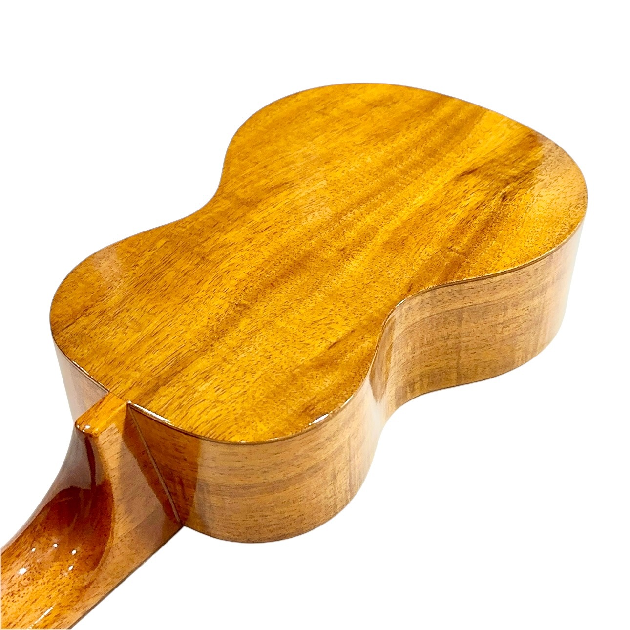 ��Famous��FLS-2G ���ץ�Υ��󥰥ͥå�