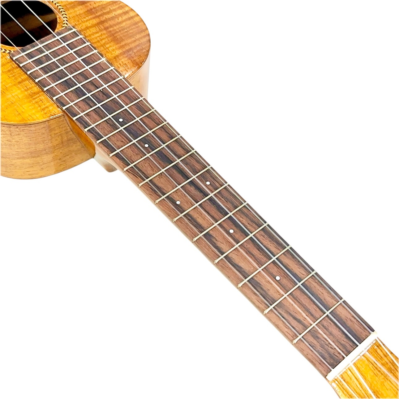 ��Famous��FLS-2G ���ץ�Υ��󥰥ͥå�