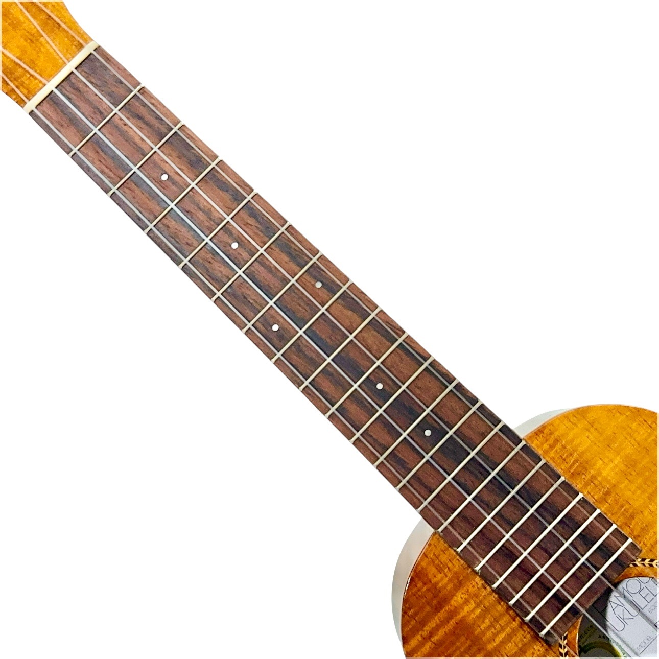 ��Famous��FLS-2G ���ץ�Υ��󥰥ͥå�