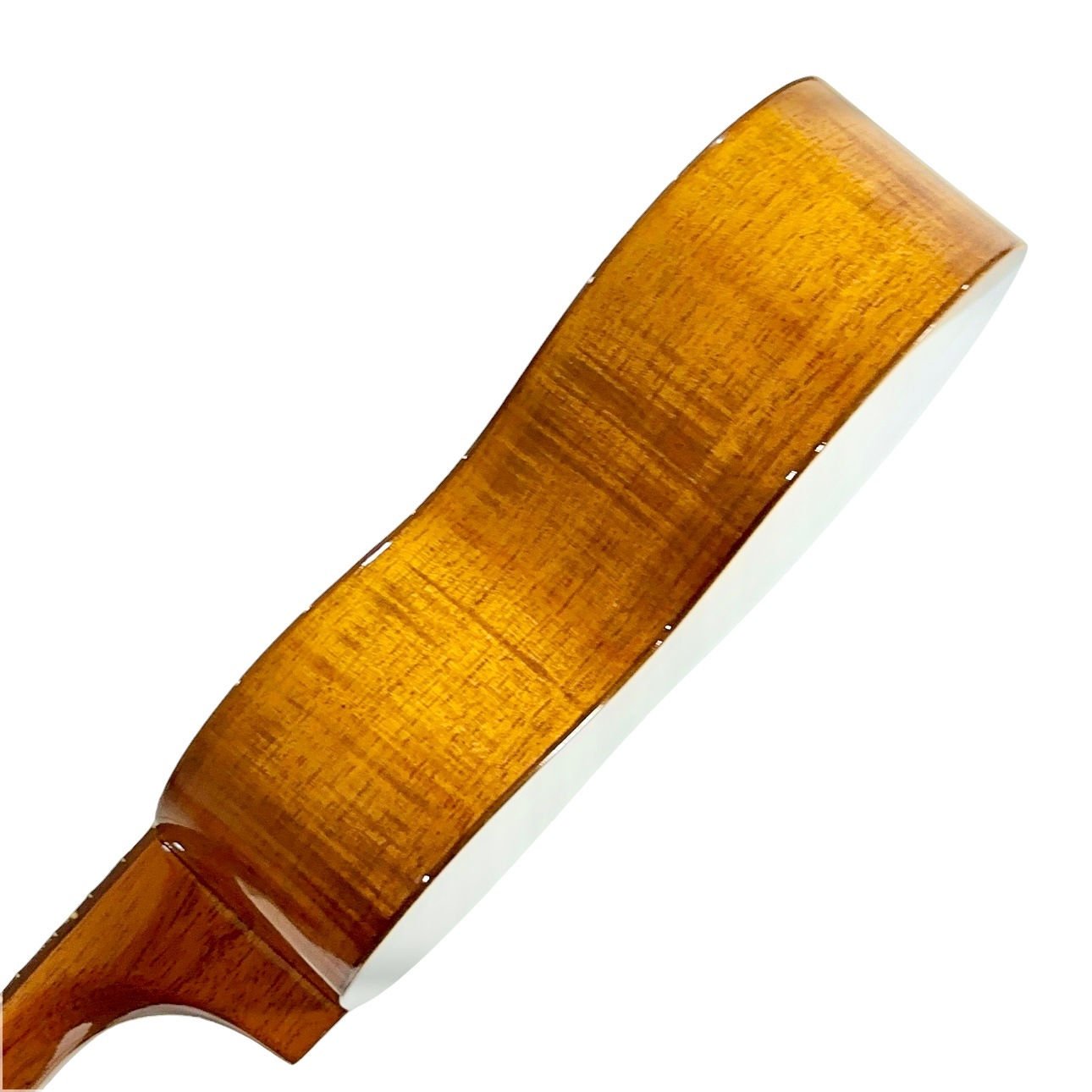 ��Famous��FLS-2G ���ץ�Υ��󥰥ͥå�