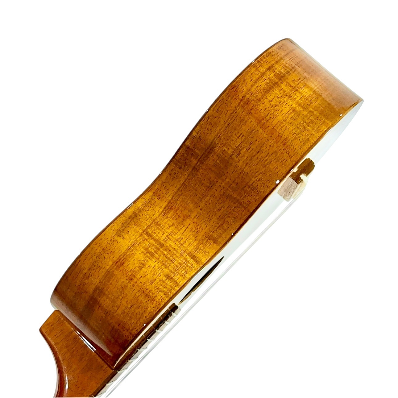 ��Famous��FLS-2G ���ץ�Υ��󥰥ͥå�