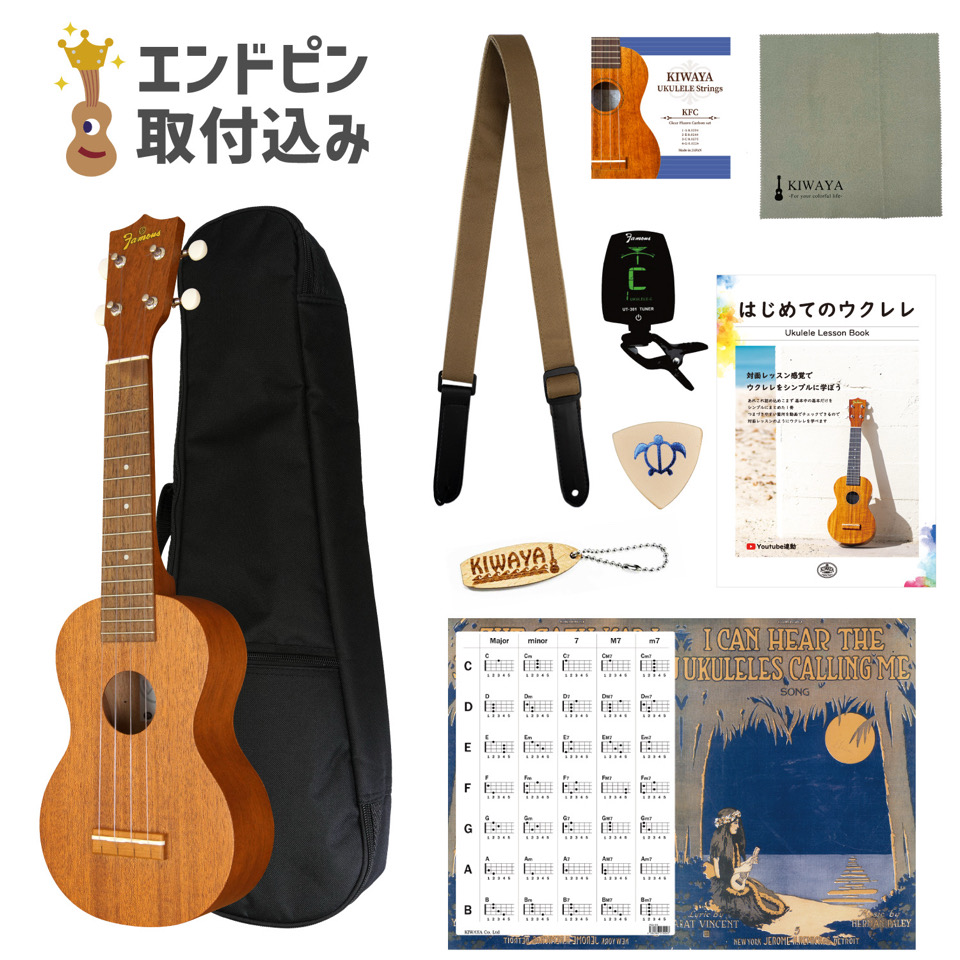 ��Famous��FS-1G (10�����å�) ���ץ�Υ�����