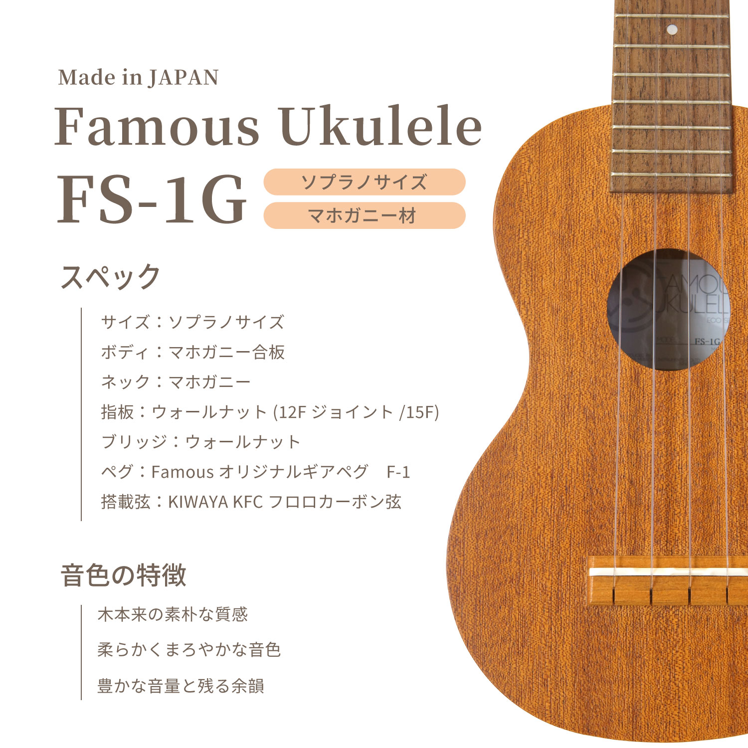 ��Famous��FS-1G (10�����å�) ���ץ�Υ�����