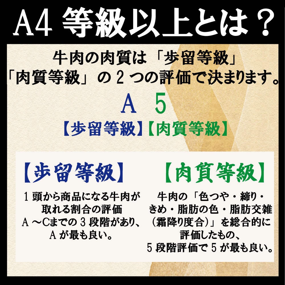 博多和牛　カルビ焼肉