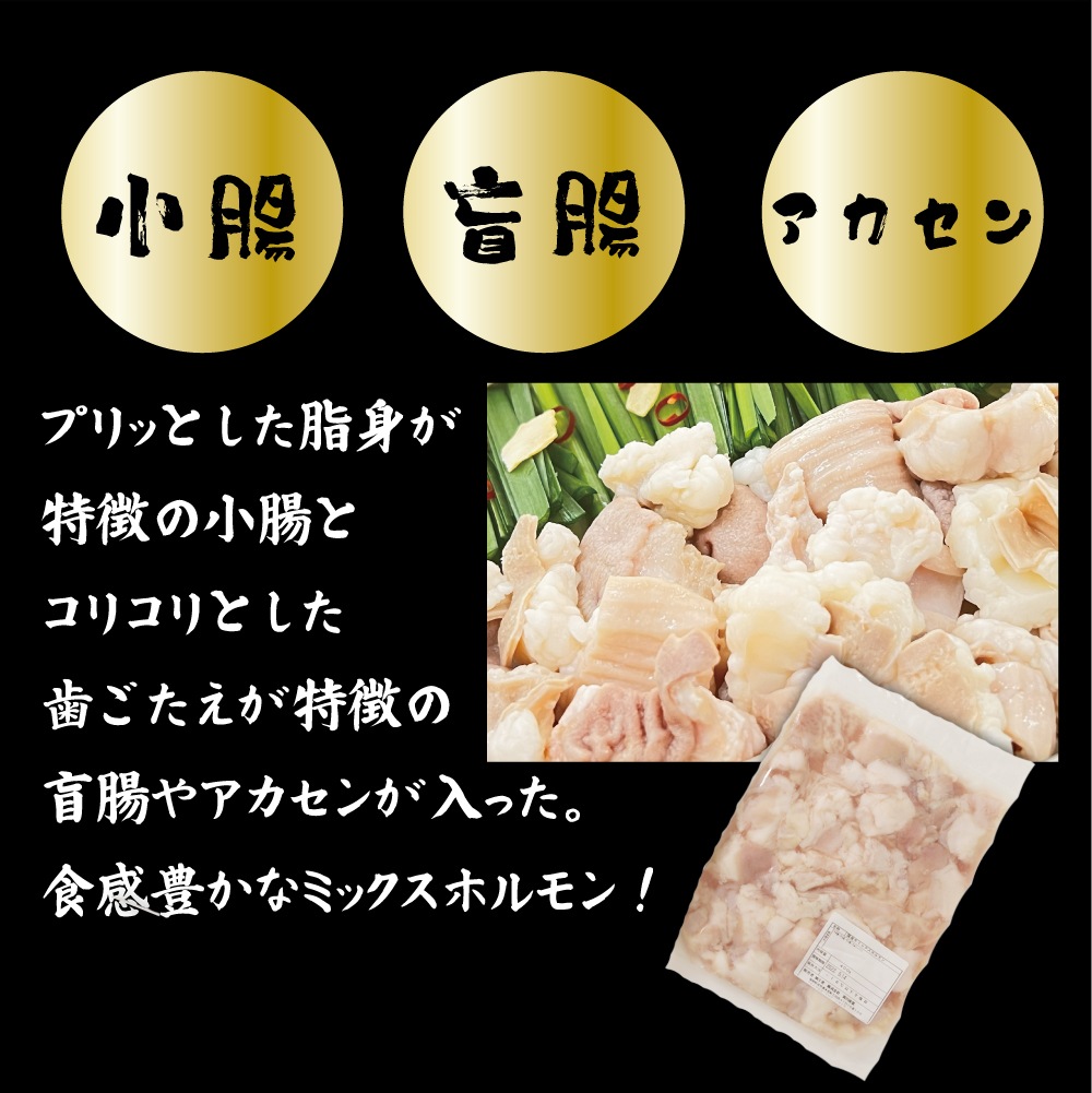 博多もつ鍋セット