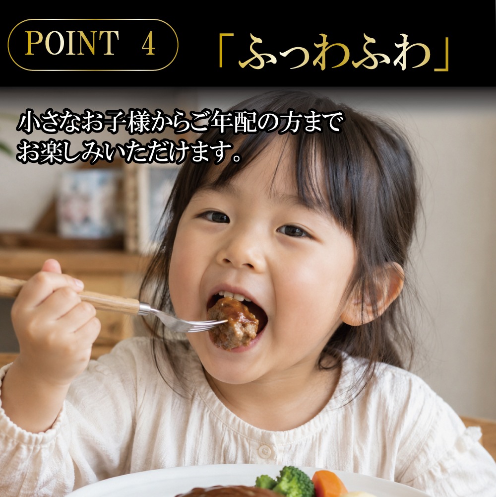 デミハンバーグ2種セット