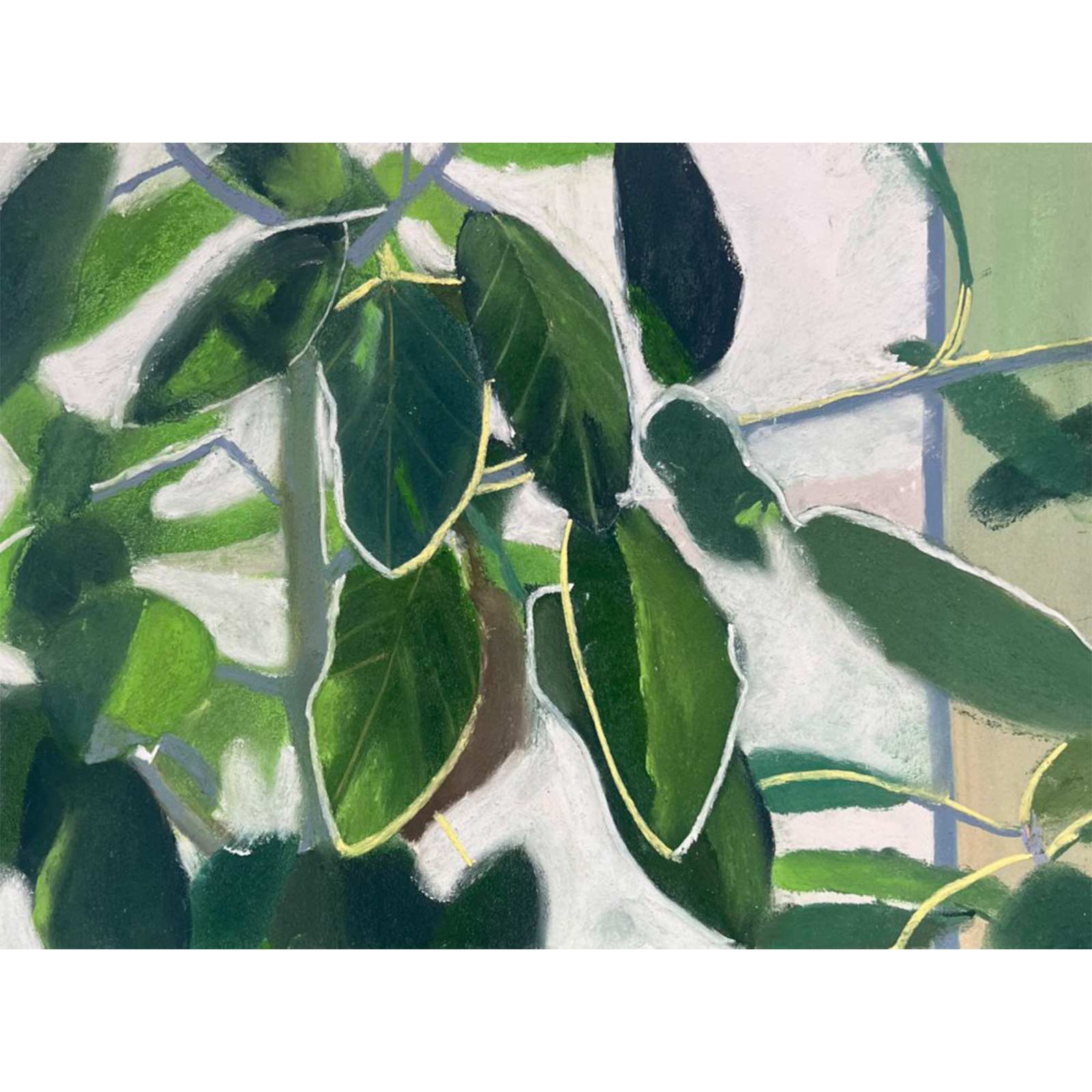 坂口恭平／朝の光の父にもらったゴムの木