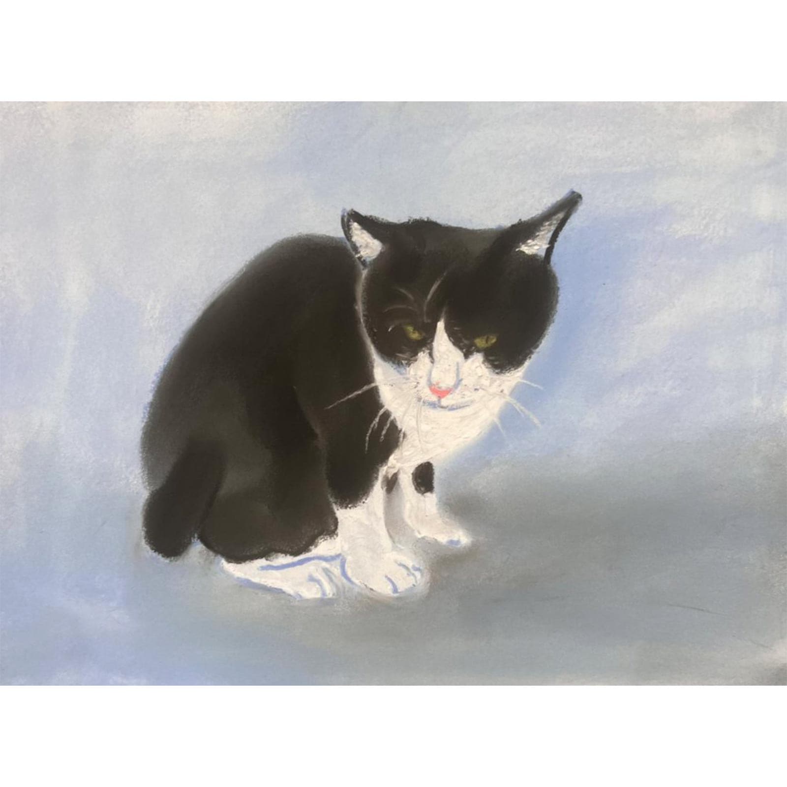 坂口恭平／紺ちゃん