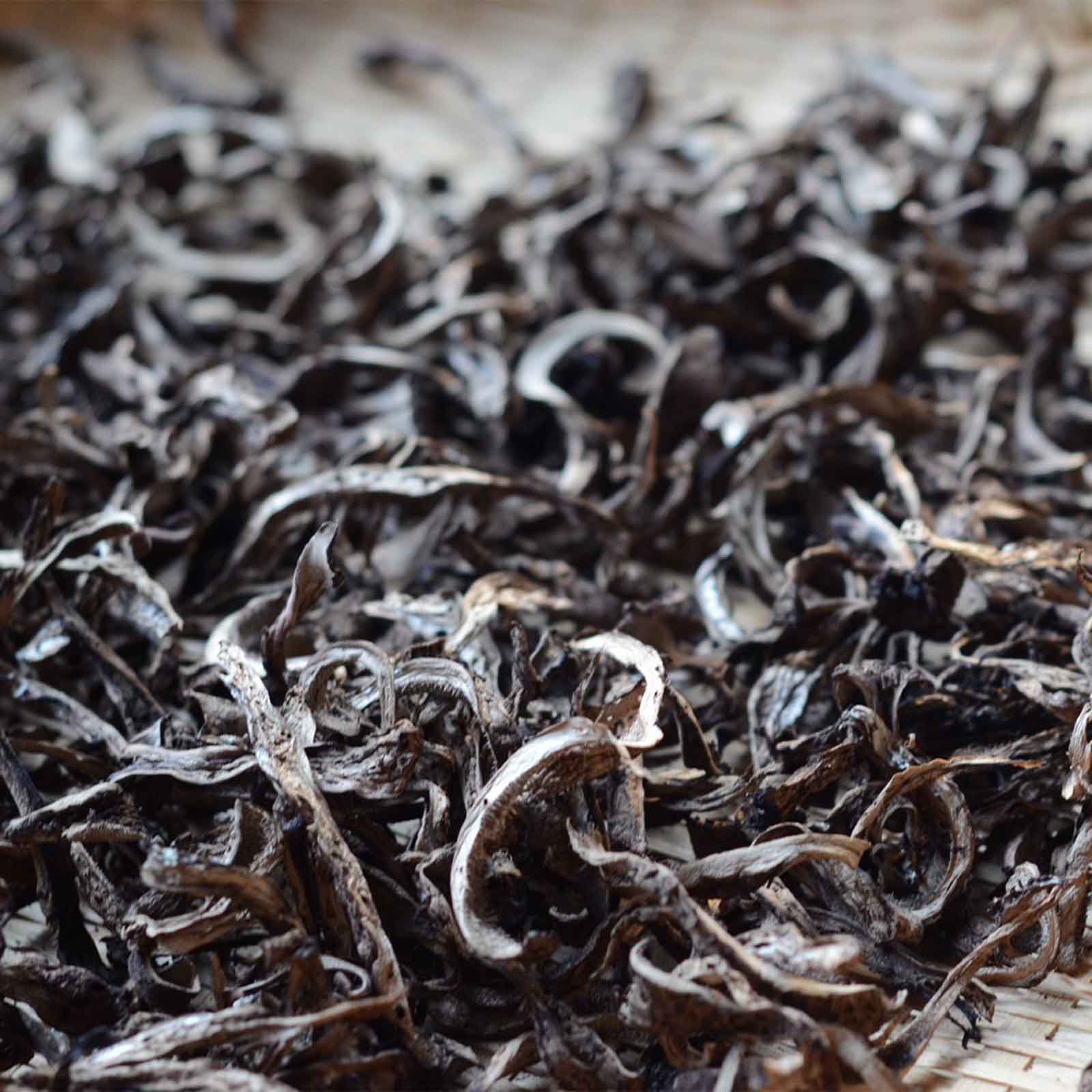 7UPキノコ/天日干し香茸