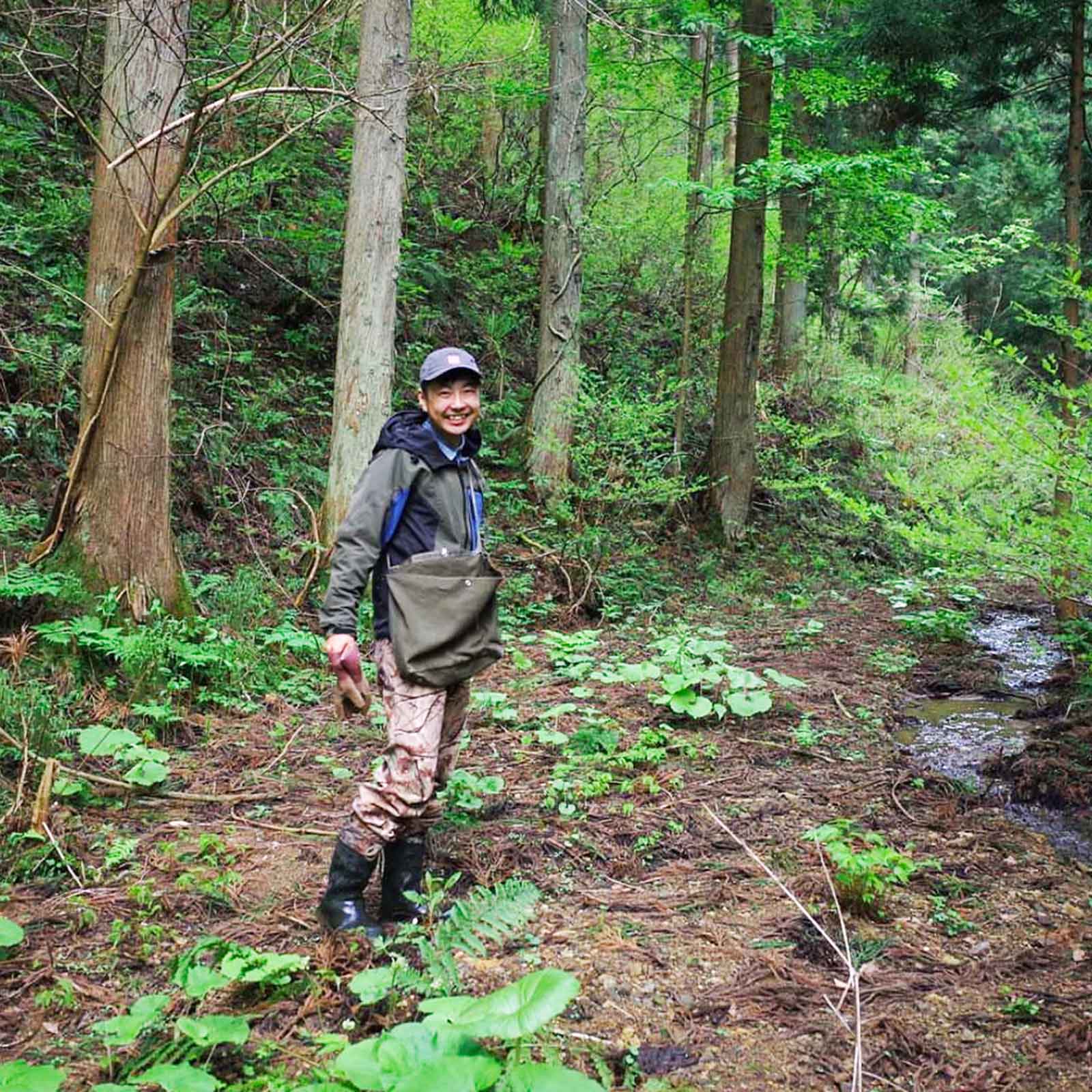 7UPキノコ/＜10.16.＞南昌山きのこフィールドワーク＆品評会 お土産きのこ付き!