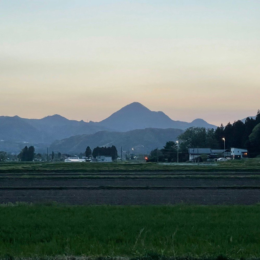 7UPキノコ/＜10.16.＞南昌山きのこフィールドワーク＆品評会 お土産きのこ付き!